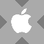 Apple xStock